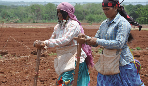 These Women Farmers from Hyderabad are Champions of Organic Farming ….. Read Along