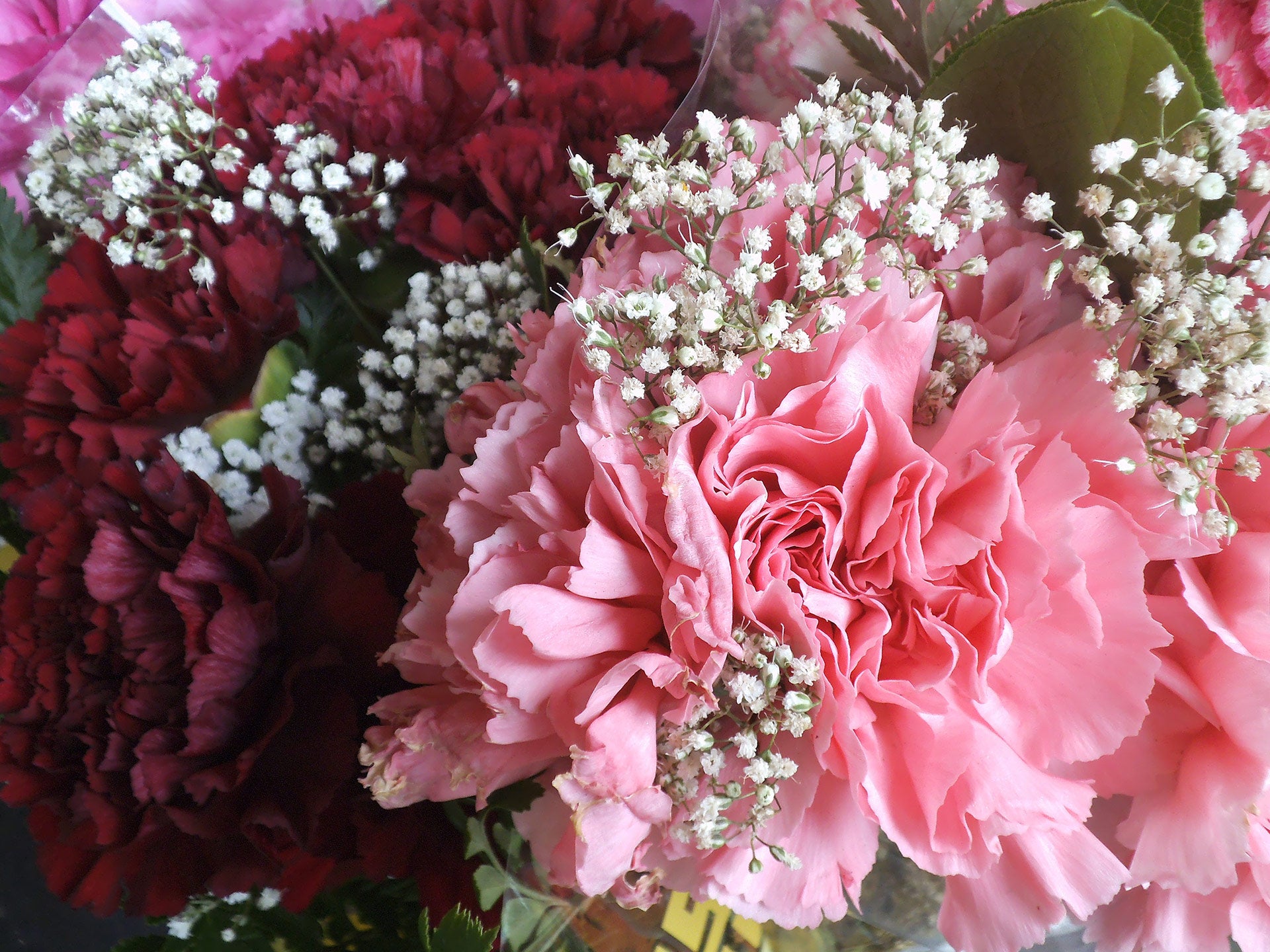 My Friend's Wedding Flower