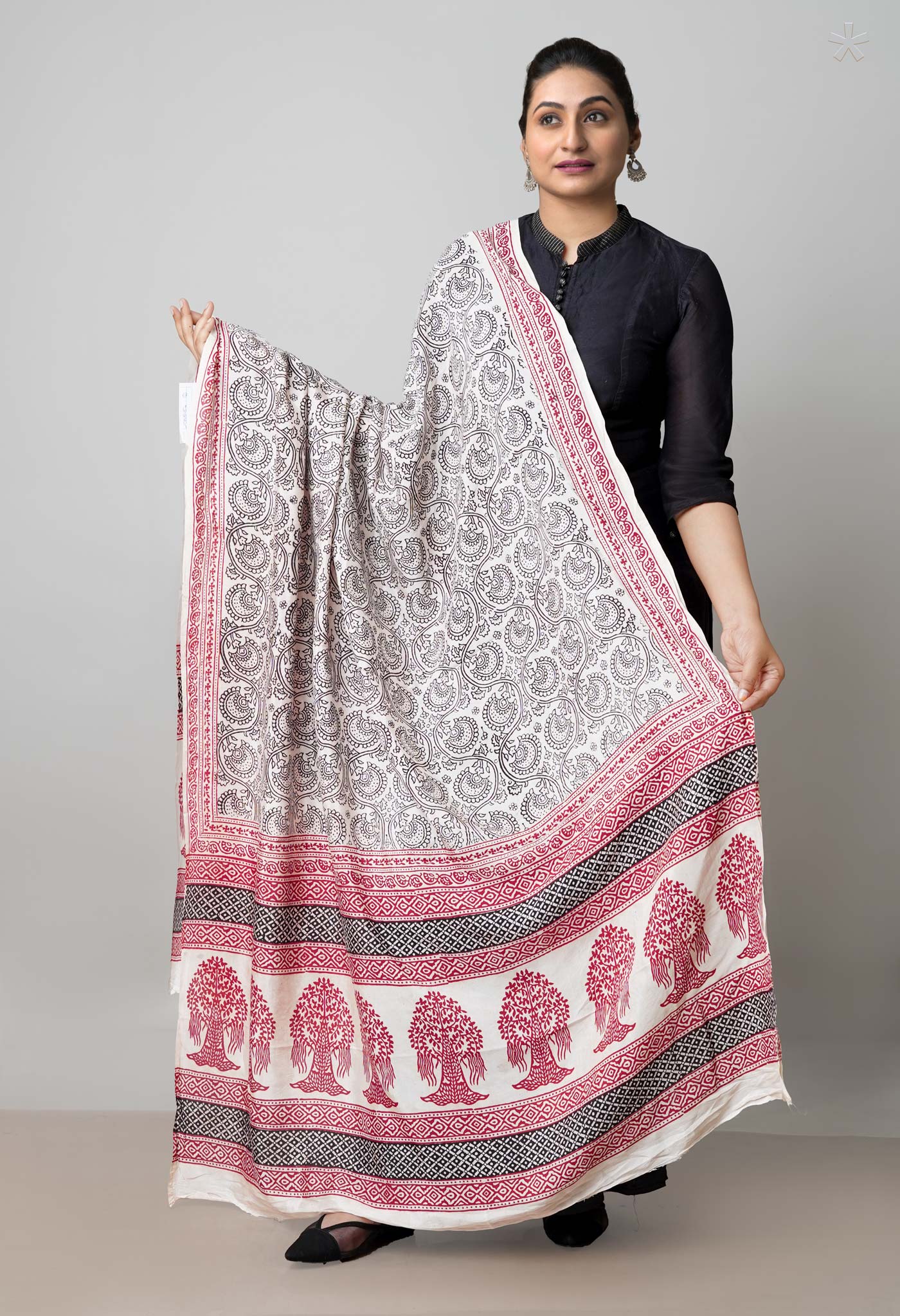 Beige Bagh Printed Chanderi Soft Silk Dupatta–UDS5154