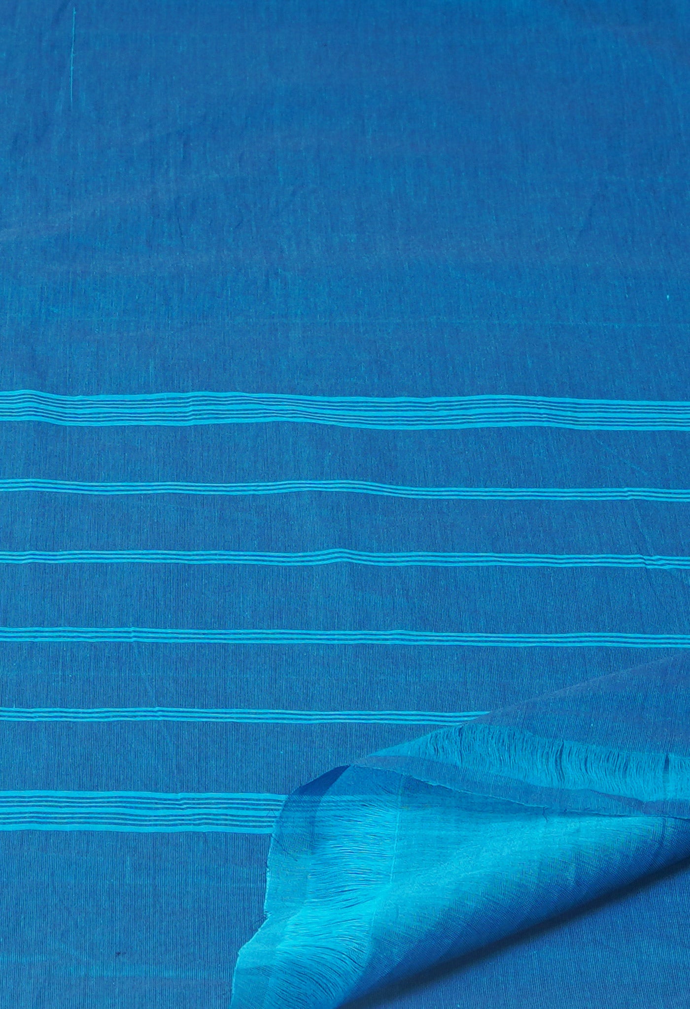 Blue Pure Pavani Handcrafted Kanchi Cotton Saree
