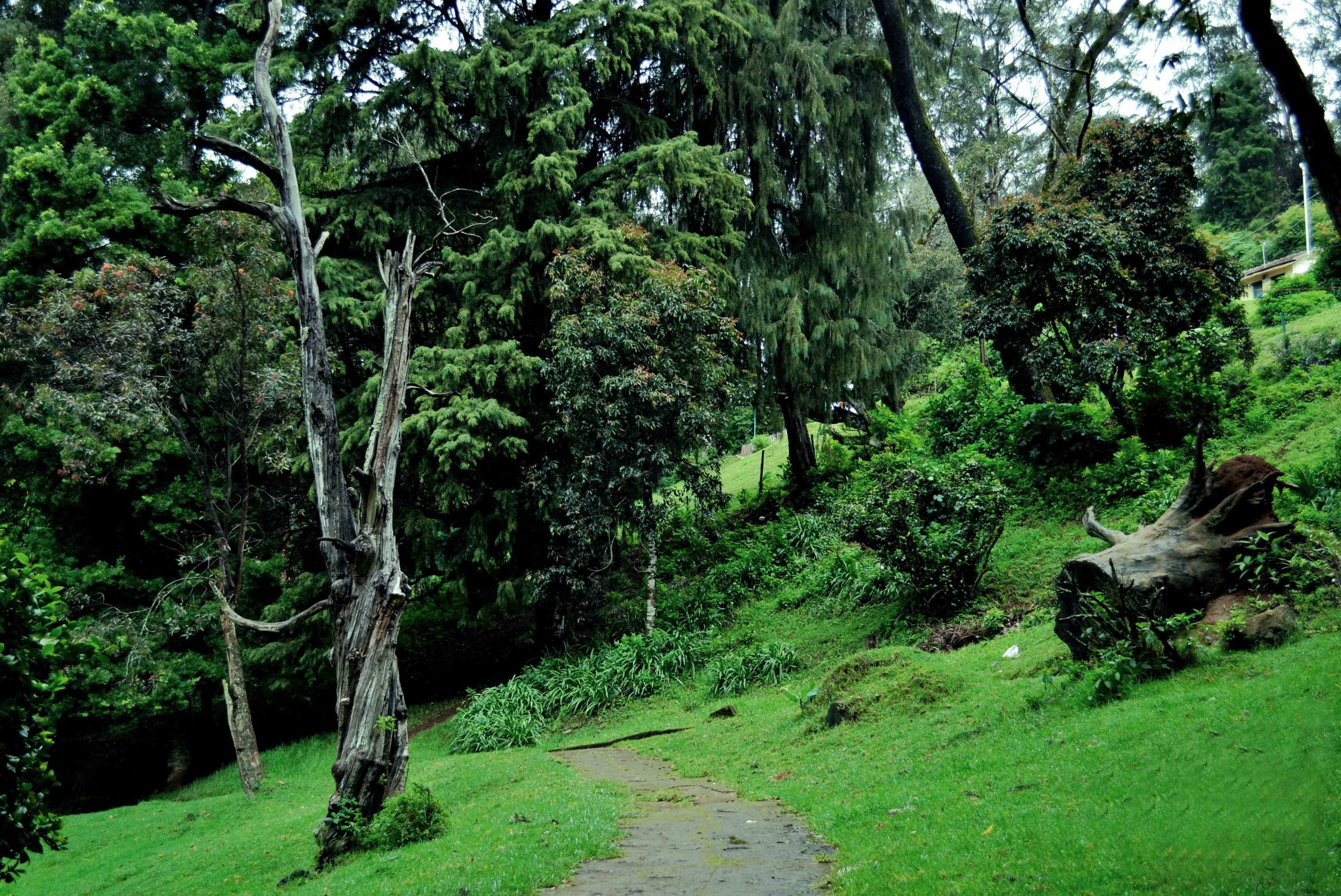 13 Reasons why should plan your next travel to Kodaikanal – “The Gift of the Forest”