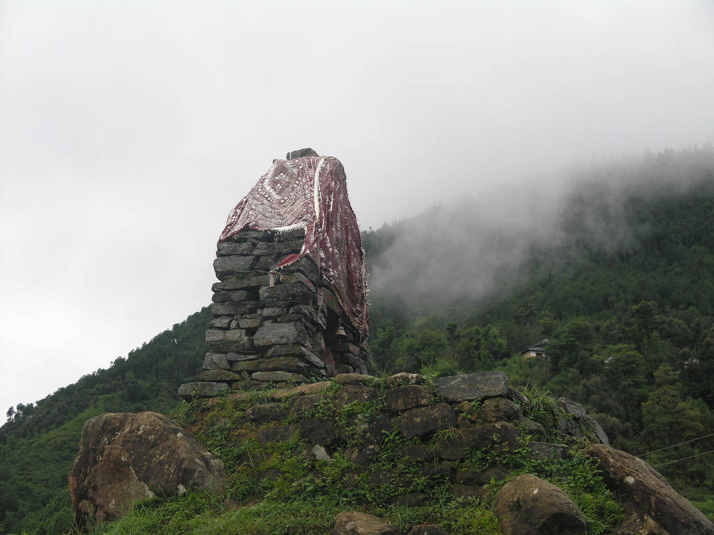 Haven for peace and quiet - Palampur