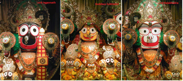 The annual Jagannath Yatra 2015 or Chariot Festival at Puri