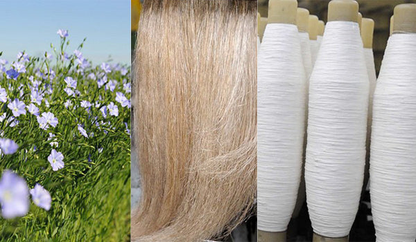 Indira Gandhi Krishi Vishvavidyalaya (IGKV) achieves a breakthrough in getting linen yarn using the flax plant