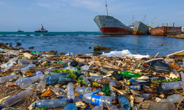 PLASTIC OCEAN To Indian Ocean – Read the Awe-Inspiring story of one Female Politician who is transforming our Waters
