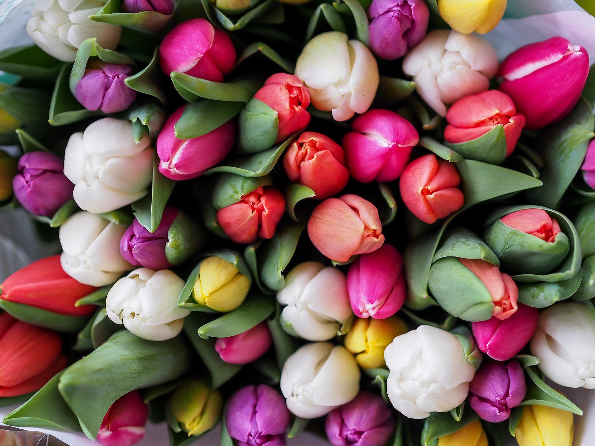 Vibrant Decoration Style