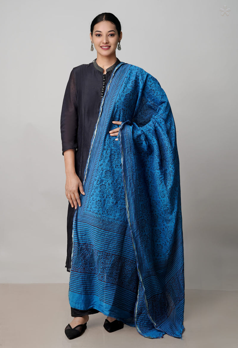 Blue Pure Chanderi Bagh Printed Dupatta–UDS4982