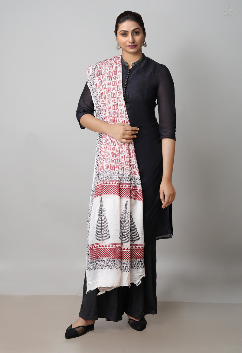 Half White Kota Checks Bagh Printed Dupatta–UDS4999
