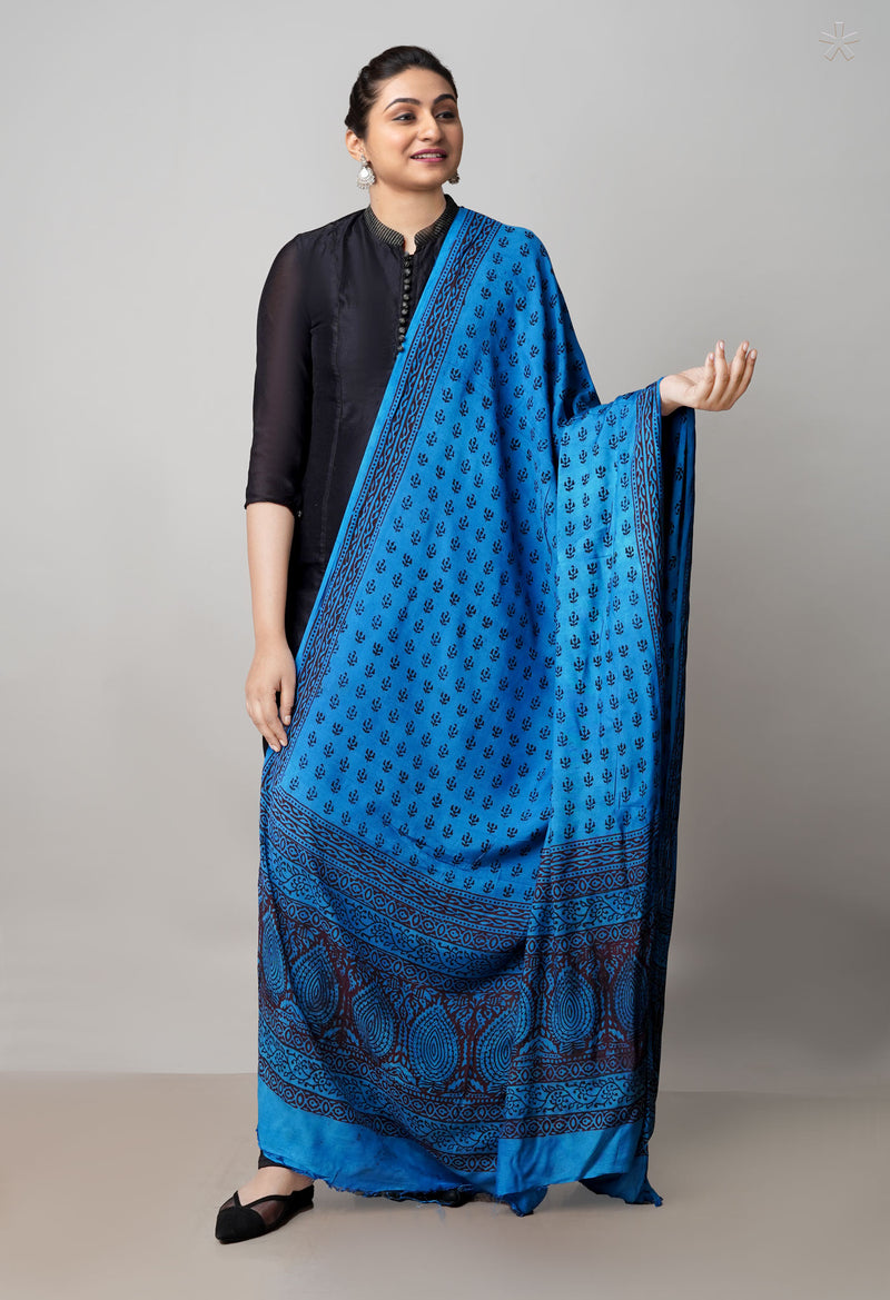Blue Bagh Printed Chanderi Soft Silk Dupatta–UDS5131
