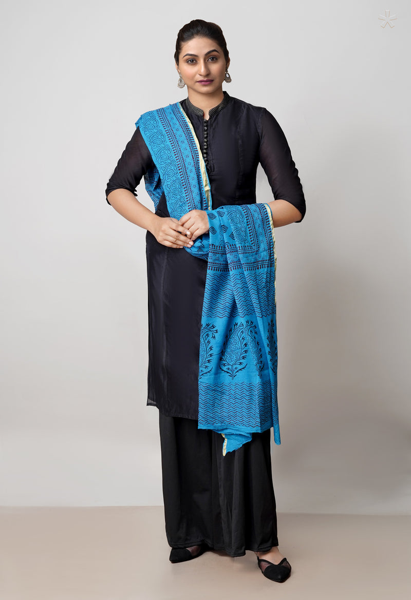 Blue Bagh Printed Chanderi Soft Silk Dupatta–UDS5132