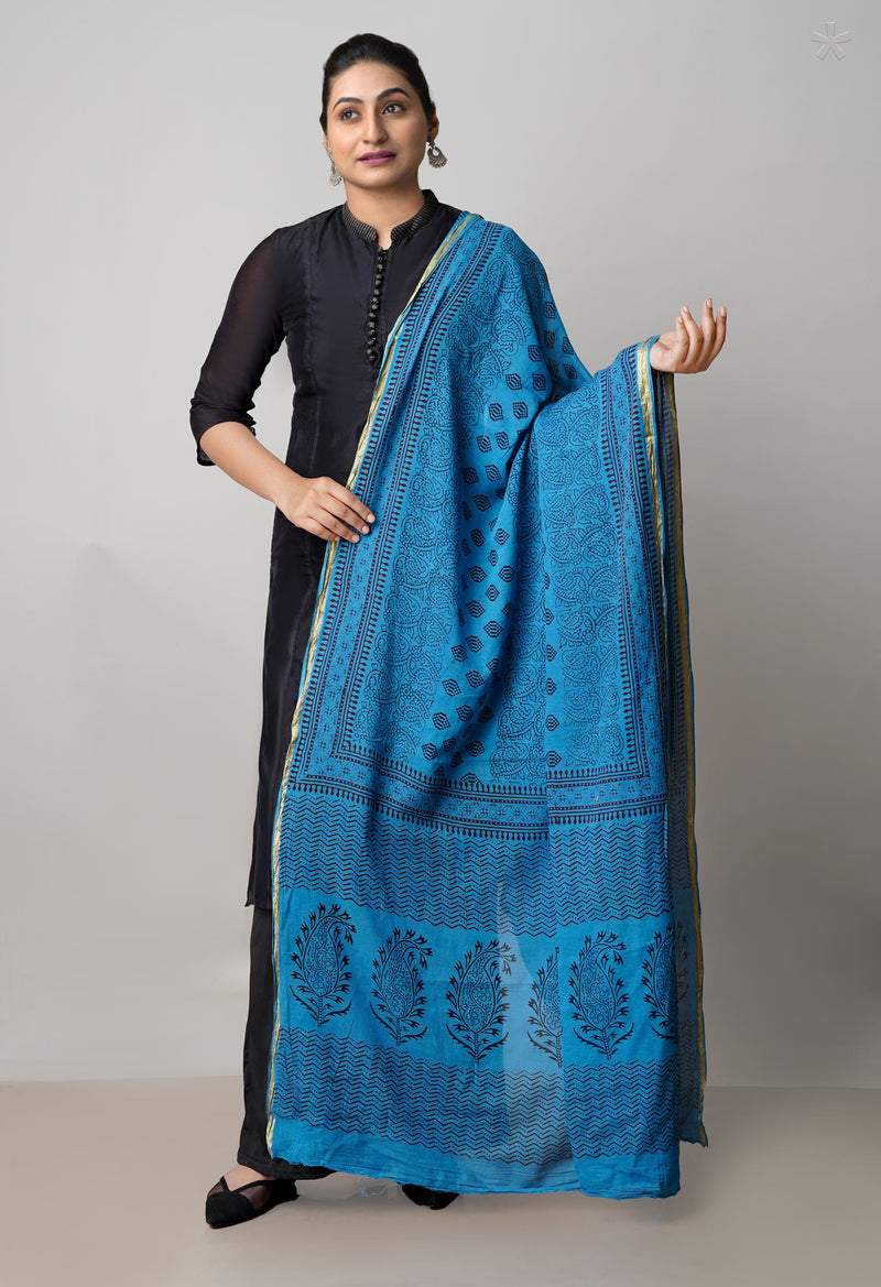 Blue Bagh Printed Chanderi Soft Silk Dupatta–UDS5132