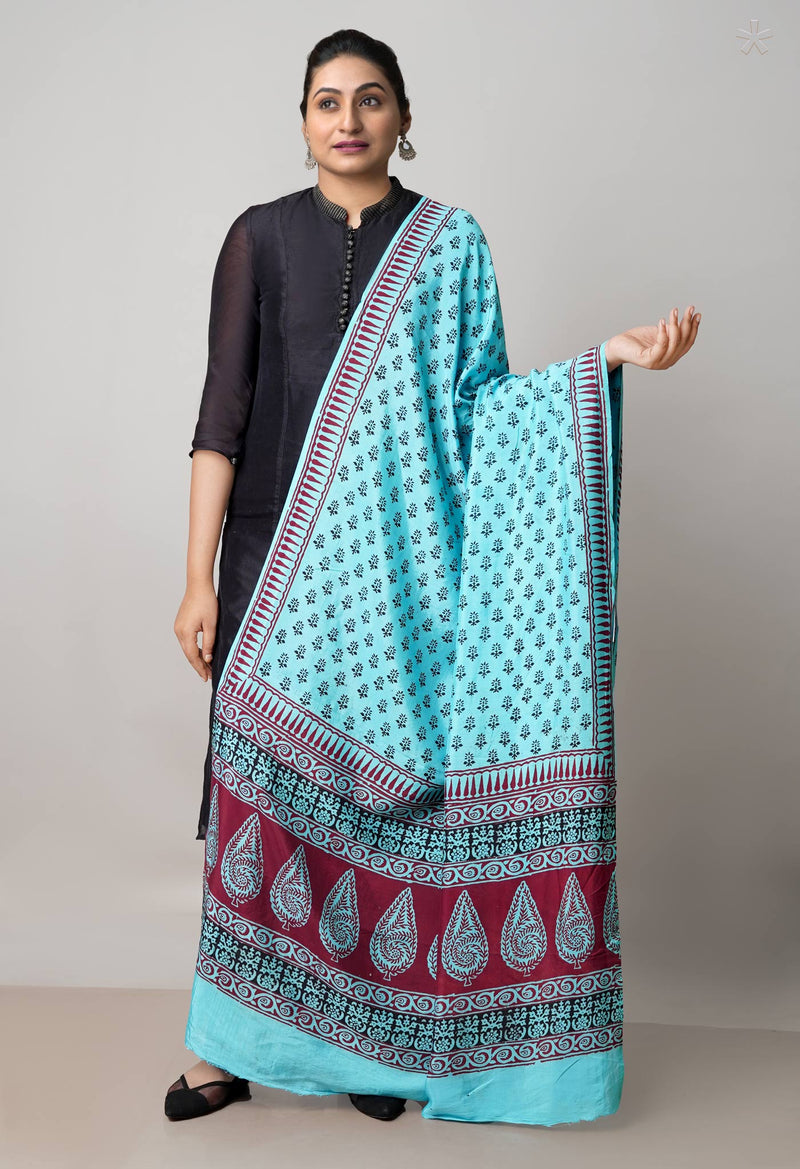 Blue Bagh Printed Chanderi Soft Silk Dupatta–UDS5151