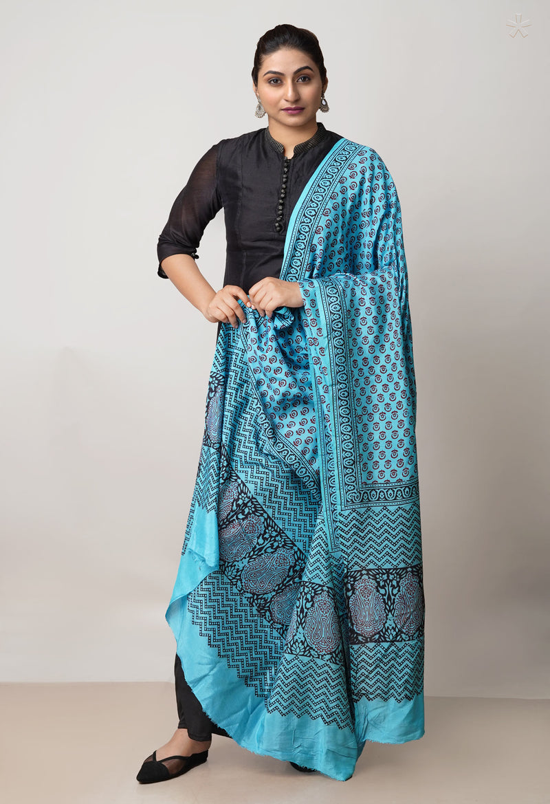 Blue Bagh Printed Chanderi Soft Silk Dupatta–UDS5173