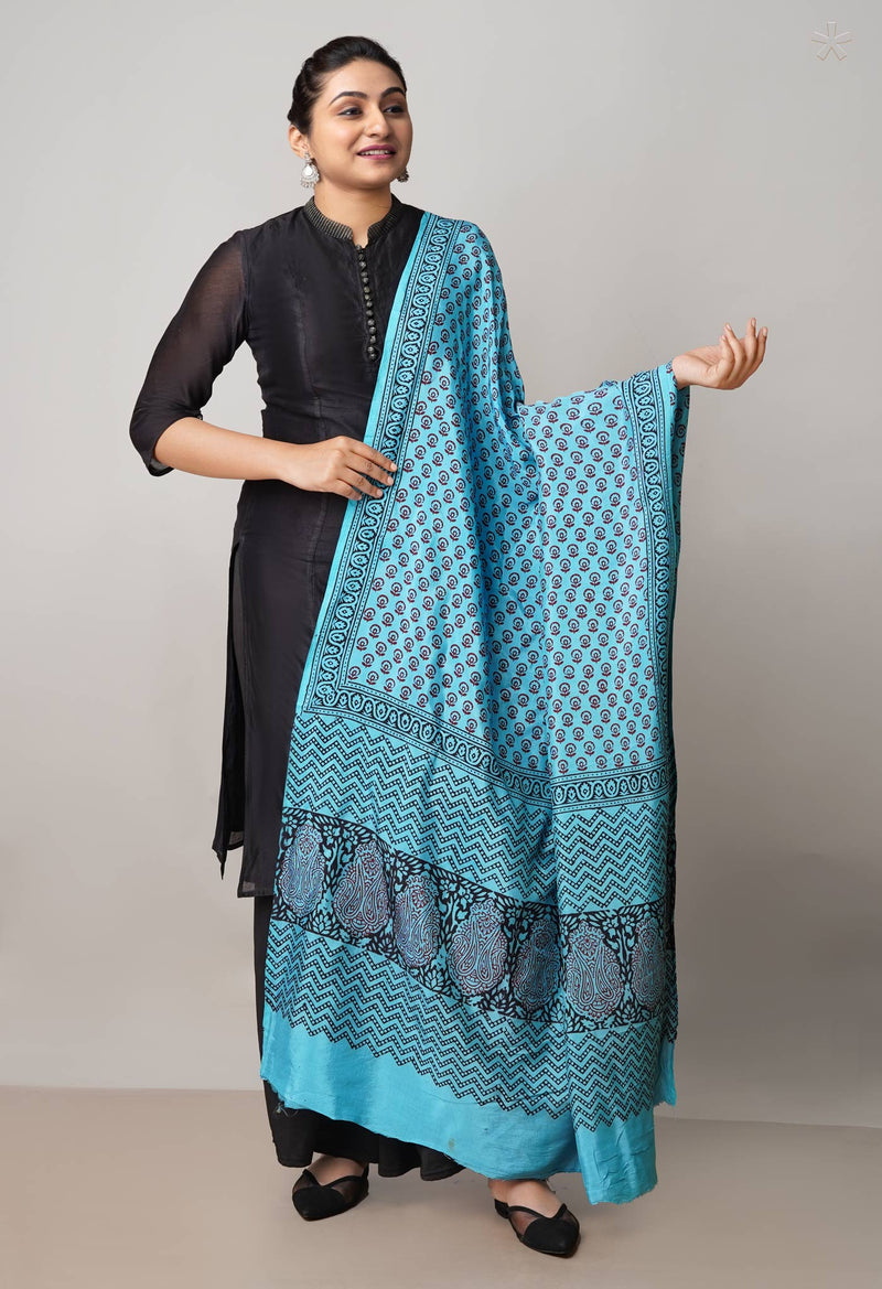 Blue Bagh Printed Chanderi Soft Silk Dupatta–UDS5173