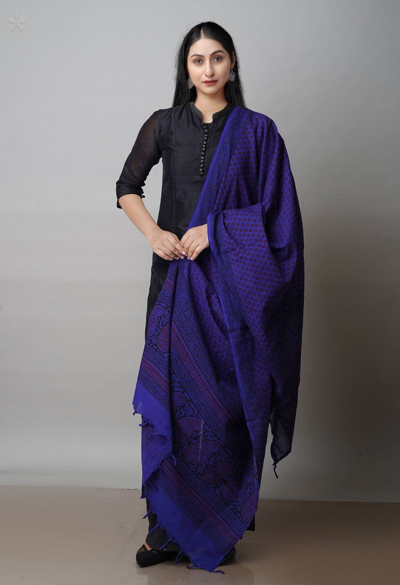 Blue Art Chanderi Bagh Printed Cotton Dupatta–UDS4346