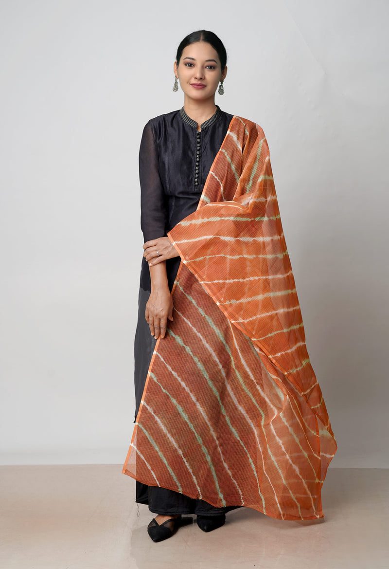 Brown Pure Gota Patti Bandhani Printed Kota Dupatta–UDS4564