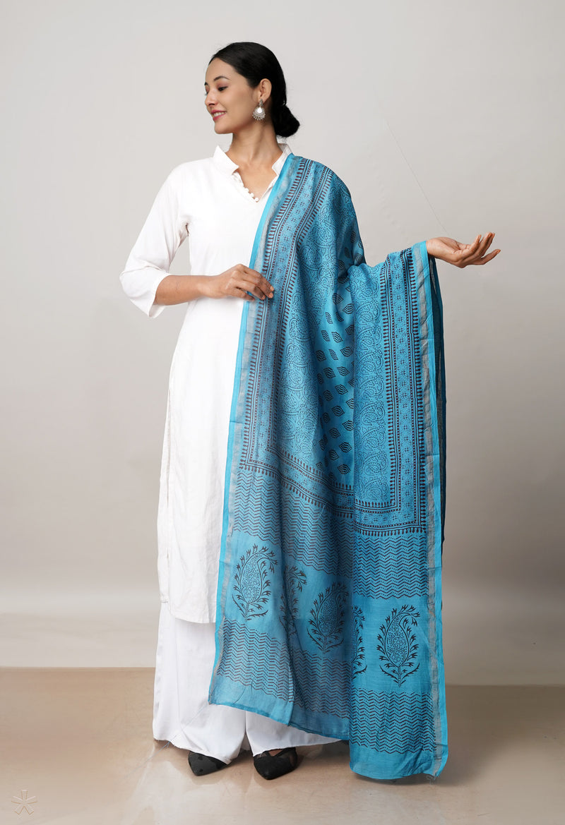 Blue Pure Chanderi Bagh Printed Dupatta–UDS4958