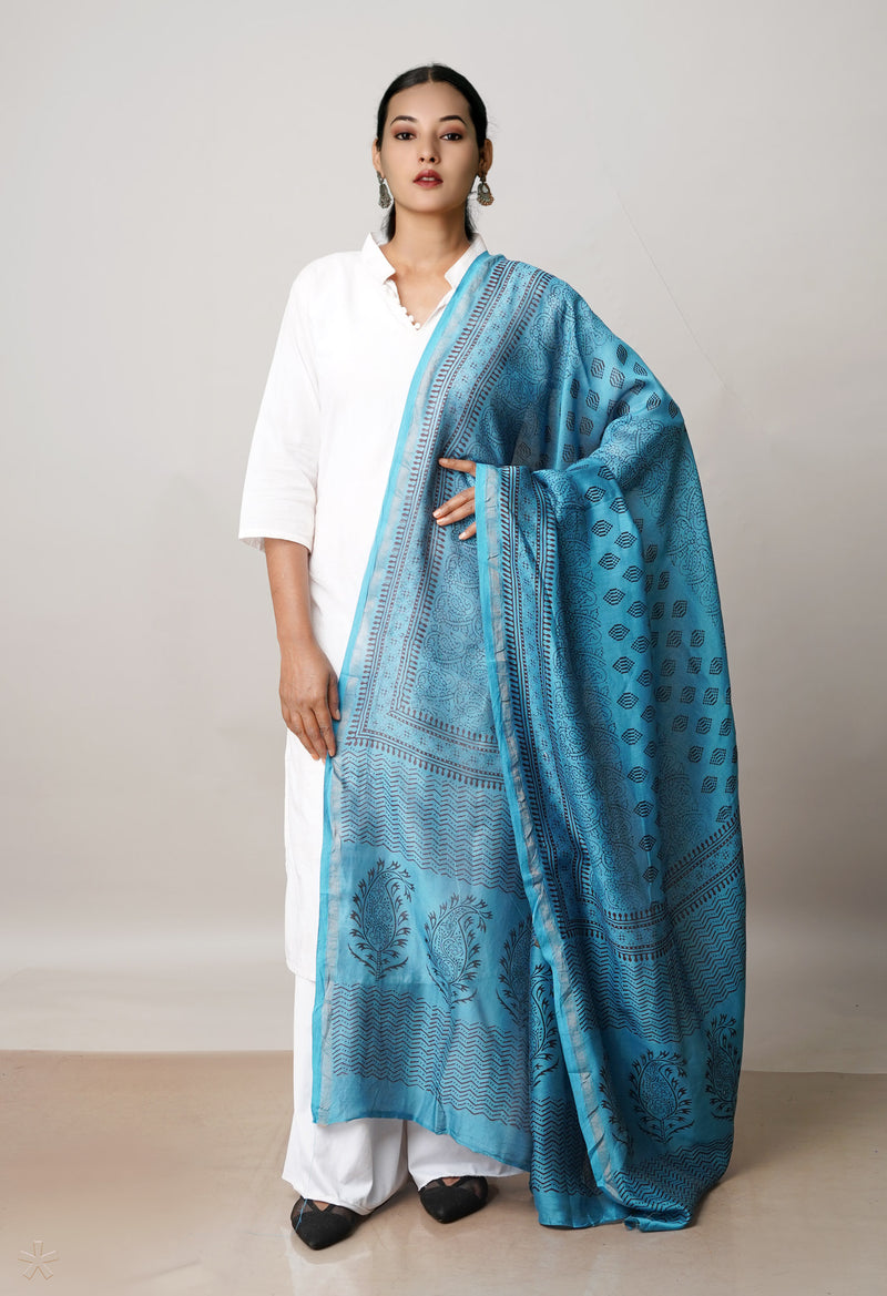 Blue Pure Chanderi Bagh Printed Dupatta–UDS4958