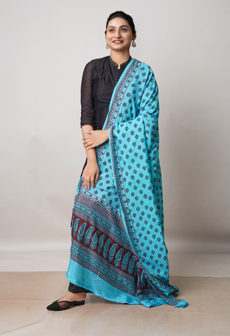 Blue Bagh Printed Chanderi Soft Silk Dupatta–UDS5127