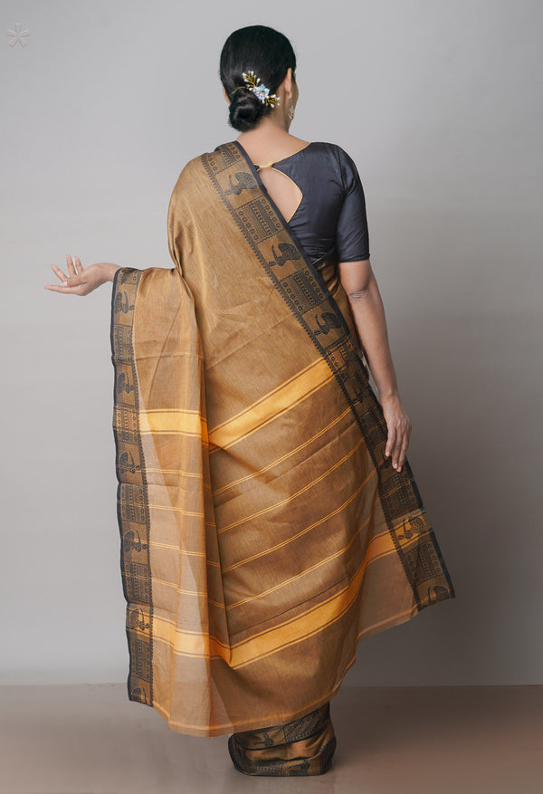Ecru Brown Pure Handloom Pavani Chettinad Cotton Saree-UNM71824