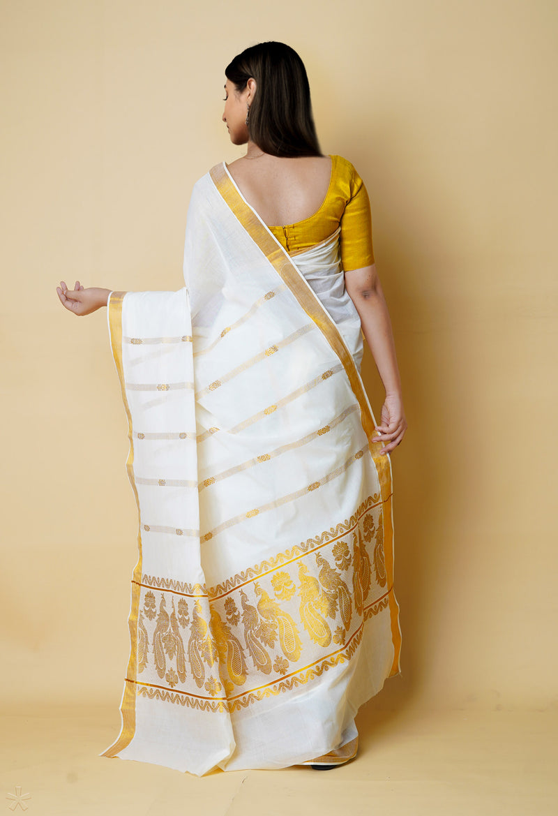 Ivory Pure  Kerala Kasavu Cotton Saree-UNM73044