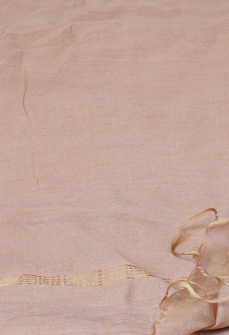 Brown  Plain Chanderi Sico Saree-UNM73653