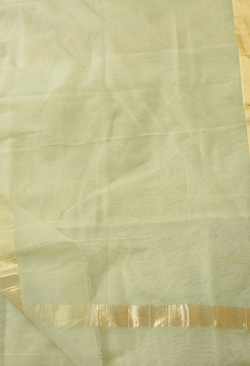 Light Green  Plain Organza Saree-UNM66324
