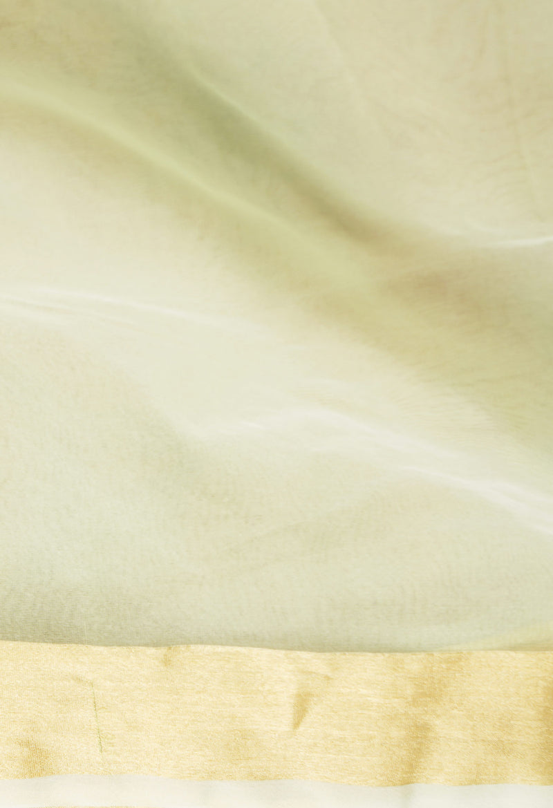 Light Green  Plain Organza Saree-UNM66324