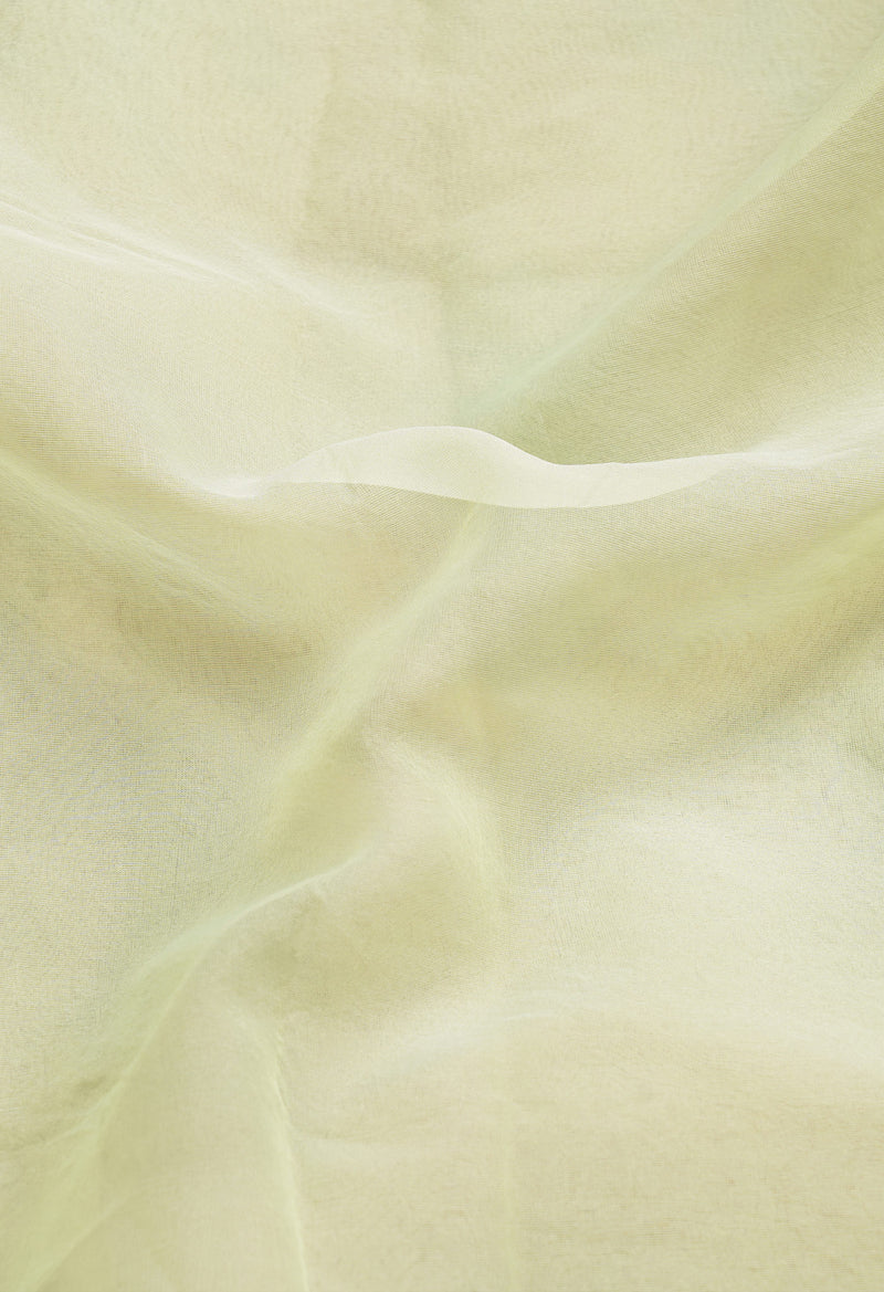 Light Green  Plain Organza Saree-UNM66324