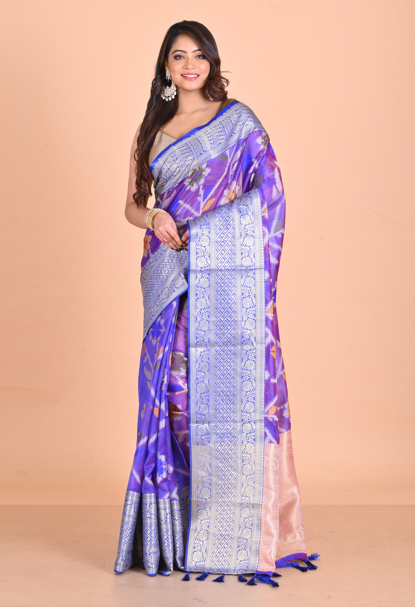 Violet  Fancy Banarasi Silk Saree-UNM67966