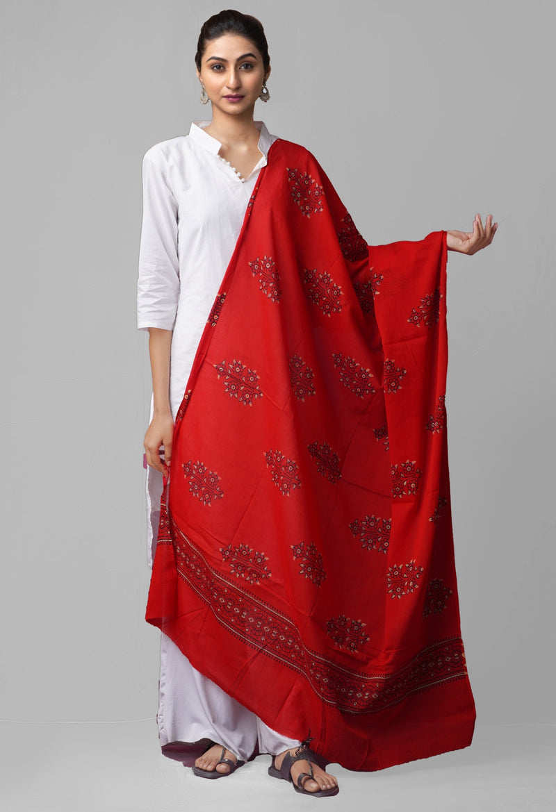 Online Shopping for Red Pure Ajrakh Cotton Dupatta with Ajrakh from Andhra Pradesh at Unnatisilks.comIndia
