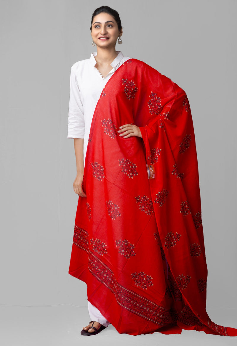 Red Pure Ajrakh Cotton Dupatta