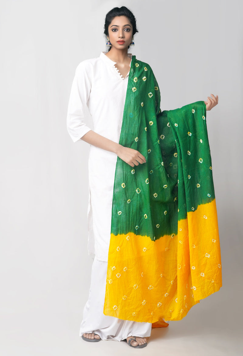 Online Shopping for Yellow-Green Pure Tie- Dye Shibori Cotton Dupatta with Tie and Dye Shibori from Rajasthan at Unnatisilks.comIndia
