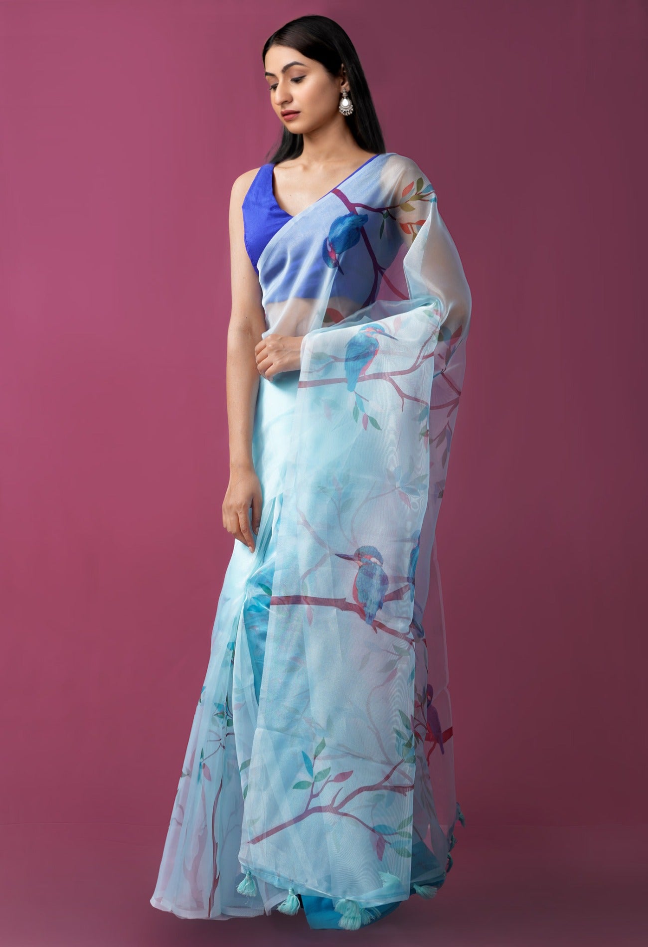 Online Shopping for Blue  Digital Printed Organza Saree with Fancy/Ethnic Prints from Uttar Pradesh at Unnatisilks.comIndia

