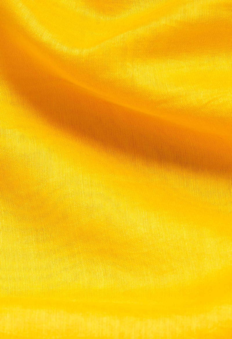 Online Shopping for Orange Pure Chanderi Sico Saree with Weaving from Madhya Pradesh at Unnatisilks.com India
