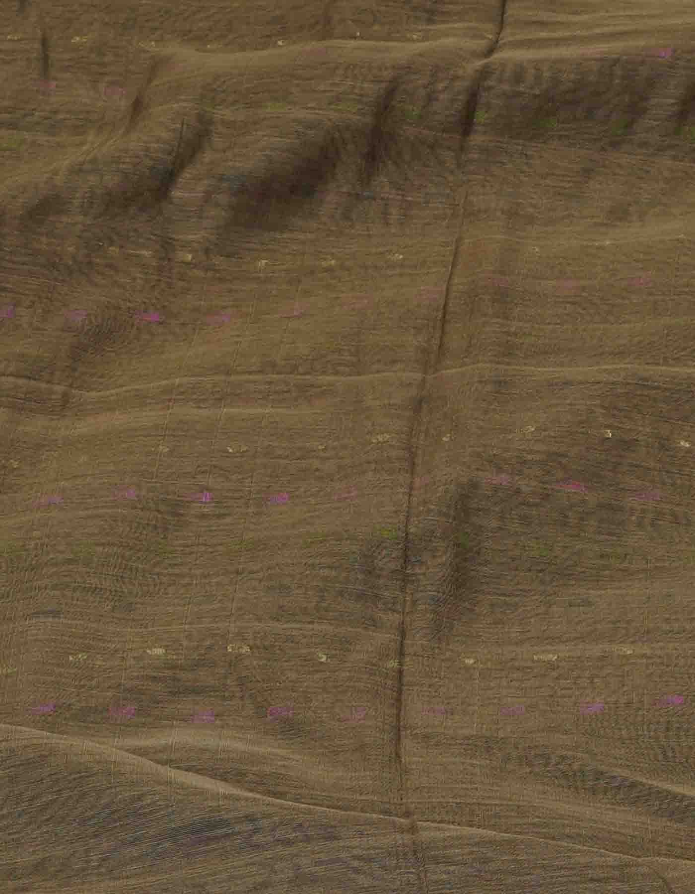 Light Brown Pure Handloom Dhakai Jamdhani Cotton Silk Saree-UNM70278